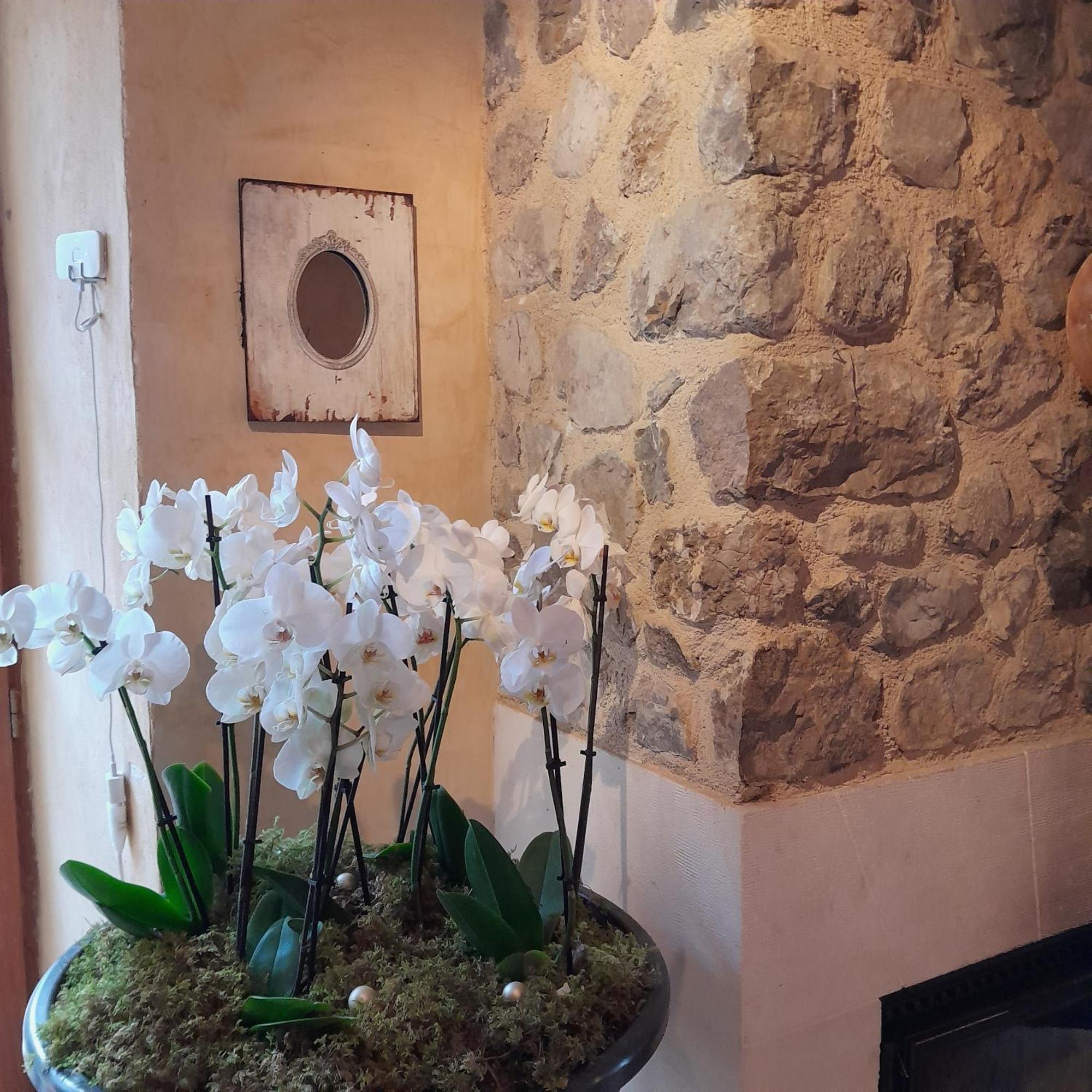 Chambre D'Hotes La Romarine Barnave Экстерьер фото