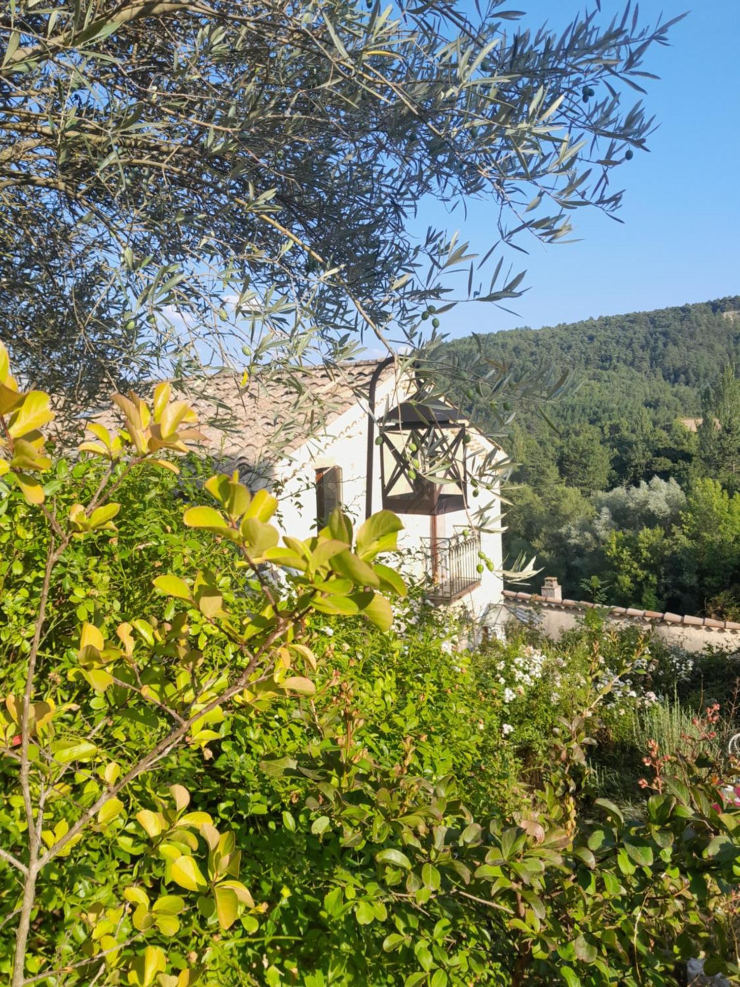 Chambre D'Hotes La Romarine Barnave Экстерьер фото